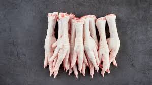 فروش مرغ تازه